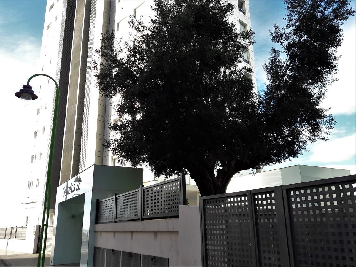 Gemelos Primera Linea Daire Benidorm Dış mekan fotoğraf